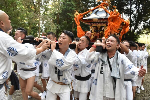 町内を渡御し神社に戻った神輿