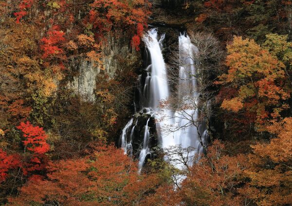 「秋彩」和泉一雄（那珂川）