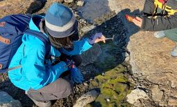 渡辺先生の南極授業＜５＞露岩域の小さな生き物　環境変化にびんかん