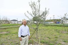 佐野でオリーブ産地に　農業委員ら協議会設立へ　健康志向で需要拡大、幅広…
