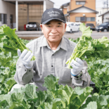 ＜235＞伝統の春野菜 手間惜しまず栽培　ＪＡ佐野の「かき菜」
