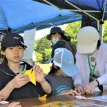 ４年ぶりに子どもフェスタ　うつのみや文化の森　自然の中で音楽や工作