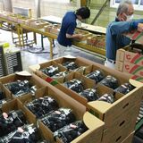 ブドウ出荷、初の１億円　シャインマスカット好調　栃木・大平町組合