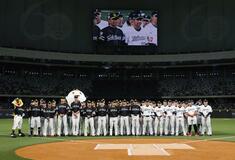 プロ野球 台湾 に熱視線