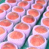 福島の桃召し上がれ　例年１～２時間で売り切れ　23日に道の駅もてぎで販売会