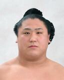 幕内・若隆景、右肘負傷で休場