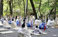 「式年遷宮」へ御用材を伐採