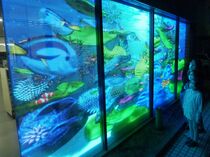 街の夜彩るＬＥＤ看板　真岡のヨコタ設置