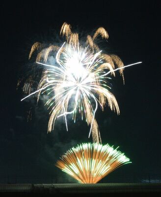 春の夜空を彩った打ち上げ花火
