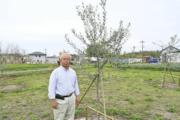 植栽したオリーブと大芦会長
