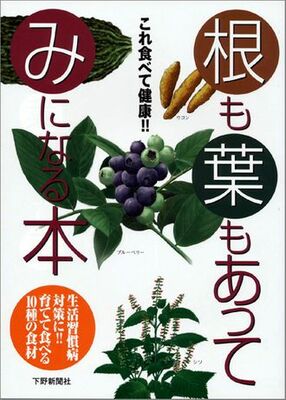 根も葉もあってみになる本　これ食べて健康!!