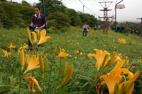 霧降高原リフト=2009年6月