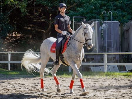 　平安騎馬隊の馬に乗り訓練する京都府警の隊員＝９日、京都市左京区