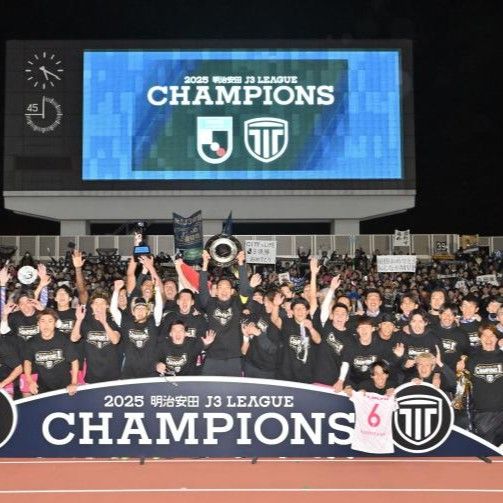 サッカーJ3の優秀選手賞、栃木シティは田中パウロら6人 栃木SCは