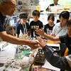 本物そっくり！鹿沼の児童らが「ティッシュ昆虫」作りを見学