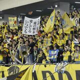 栃木ＳＣサポーター「１年半後にＪ２復帰を」　試合後、選手引き揚げるまで声援途切れず