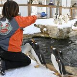 雪にも寒さにも負けぬ　那須どうぶつ王国で「ならではの」愛らしい姿堪能　限定イベントも