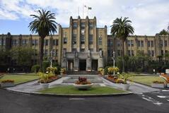 宮崎の養豚場で豚熱確認