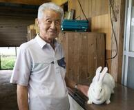 秋田伝統のジャンボうさぎ