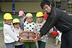 採れたてイチゴ 園児や小学生に