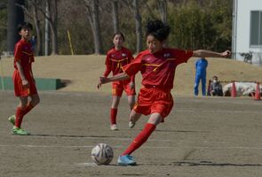 各地で熱戦 有終の美 サッカー６年生大会 スポーツ 下野新聞 Soon ニュース 県少年サッカー特集 下野新聞 Soon スーン