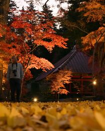 益子・円通寺の紅葉