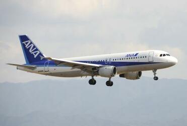 エアバス主力機、ソフト不備