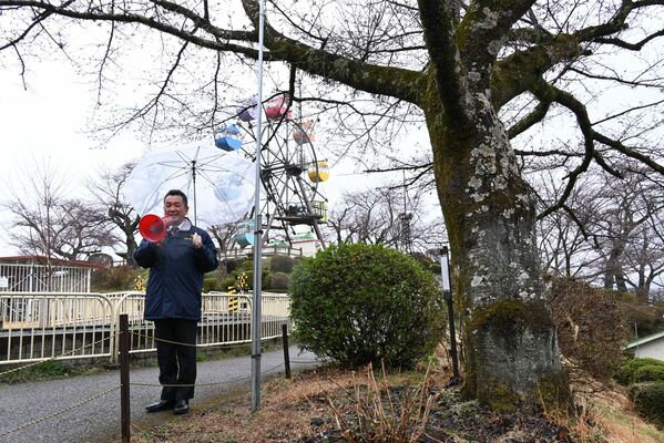 標本木の下で開花宣言する松井市長