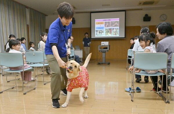参加者の前で普段の訓練の様子を披露する盲導犬
