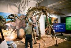 北大博物館、恐竜研究の成果紹介