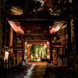 第29回下野新聞紙上写真コンテストー選外佳作ー