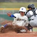 関東高校軟式野球、白鴎足利が２年連続８強　作新、文星付は初戦敗退