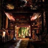 第29回下野新聞紙上写真コンテストー選外佳作ー