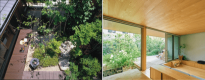 積水ハウス、生態系に配慮した造園緑化事業「5本の樹」計画25周年