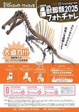 35万人目前の福井県立恐竜博物館「獣脚類2025」、11月3日閉幕! 14mスピノサウルスのフォトチャレ実施中!