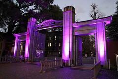 東大正門、紫色にライトアップ