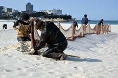 白良浜、防砂ネット撤去