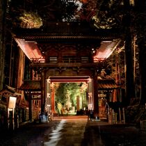 第29回下野新聞紙上写真コンテストー選外佳作ー