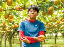 県産ナシ「にっこり」を那須烏山から世界へJAなす南のナシ「にっこり」