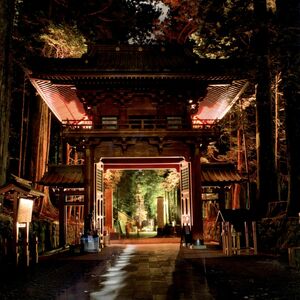 第29回下野新聞紙上写真コンテストー選外佳作ー