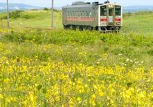 ローカル線は再生できるか 黄８線区が問いかける「選択」