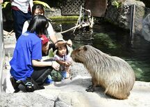 6月15日は「栃木県民の日」 記念日前に県内各地でイベント 魚やロケッ…