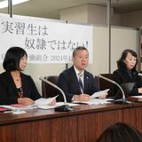 技能実習生、性暴力受けたとして栃木県内のイチゴ農園経営者を提訴　「拒絶すれば帰国」脅されていたと主張