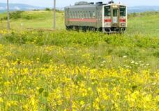 ローカル線は再生できるか 黄８線区が問いかける「選択」
