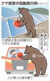 クマ被害、ＳＮＳで偽動画が拡散