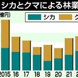 シカ・クマによる林業被害４年ぶり減、１億1700万円に　2024年度栃木県内　捕獲数増が影響か