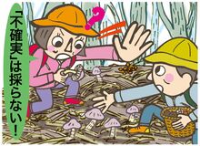 有毒のキノコ、山菜 注意