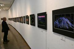 四季折々の風景写した48点展示