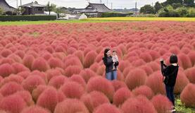緑から赤の季節へ