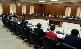 参院憲法審「合区解消を」